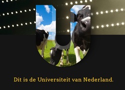 Universiteit van Nederland, UvN, Marten Blankesteijn